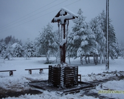MG_5534