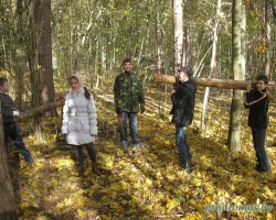 В лесу