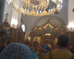 сынковичи жировичи 31082020-1