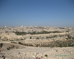 IMG_8239