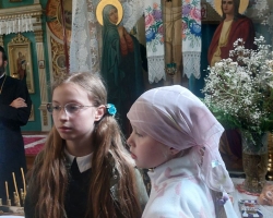 IMG-4afd9b7ab87ca7e4019199e83d21dd89-V 8