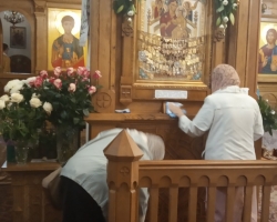 сынковичи жировичи 31082020-9