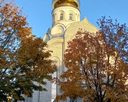 2022-10-11_22-20-05-538