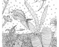 Рисунки Ксении Воиновой