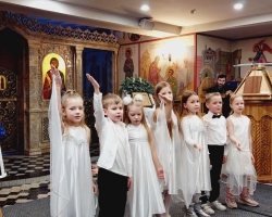 2026-01-17_15-31-11-923