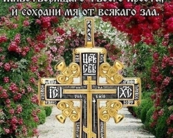 IMG-20190927-WA0000
