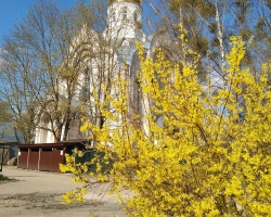 IMG_20210421_165508