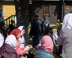 DSC00286